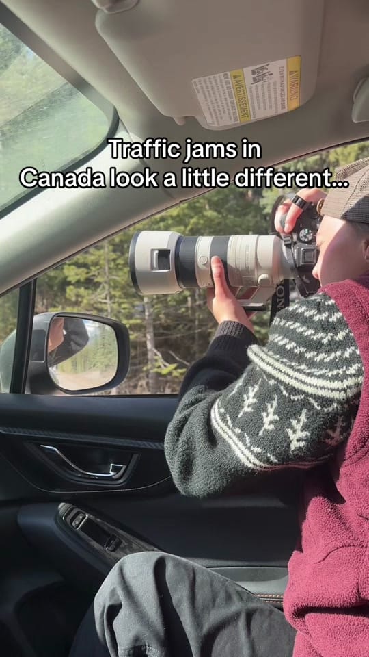 Post 1 by Chlo Gannon Photo on TikTok (video)