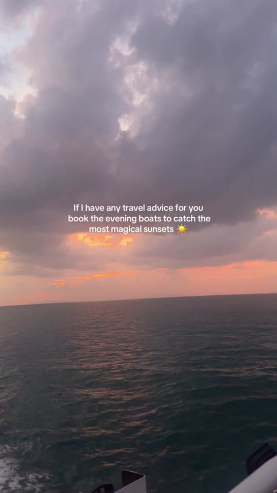 Post 3 by leala on TikTok (video)