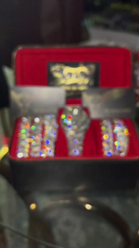 Post 4 by TheIceChamp on TikTok (video)