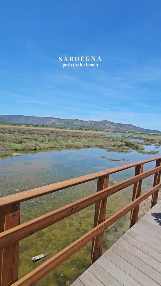 Post 6 by Susan Wilson | UGC Creator on TikTok (video)