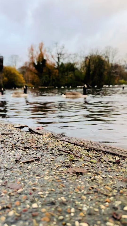 Post 10 by Muqtadir Hussain on TikTok (video)