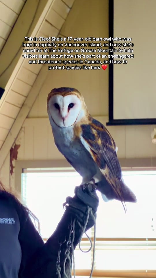 Post 6 by Bri Mitchell Travels 🗺️ on TikTok (video)