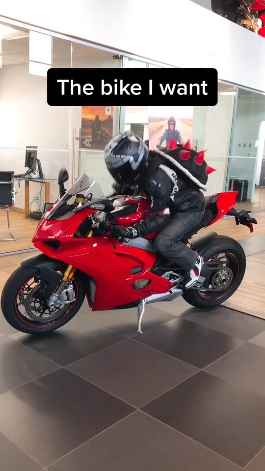 Post 8 by Mototurtle ッ🐢 on TikTok (video)