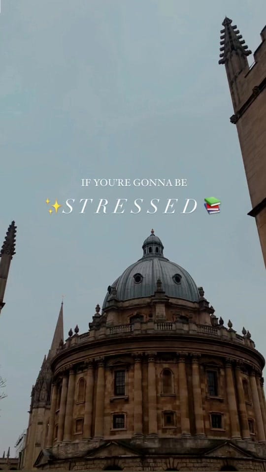 Post 10 by Mini Vlogues 🌙🦢 on TikTok (video)