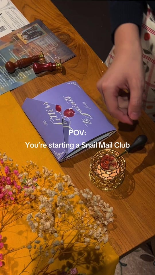 Post 4 by Mini Vlogues 🌙🦢 on TikTok (video)