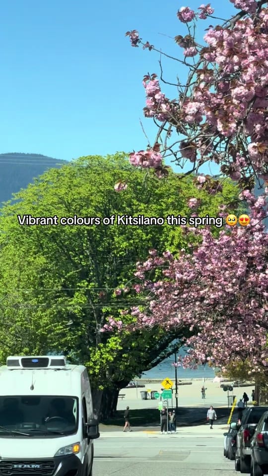 Post 6 by Ali & Bri on TikTok (video)
