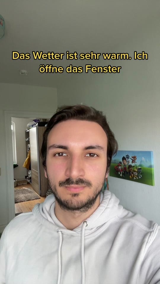 Post 5 by Der Deutschlehrer on TikTok (video)