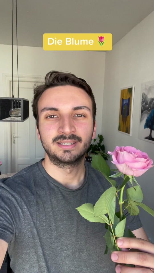 Post 2 by Der Deutschlehrer on TikTok (video)