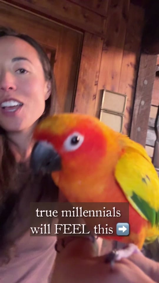 Post 1 by Sophie Goldie on TikTok (video)