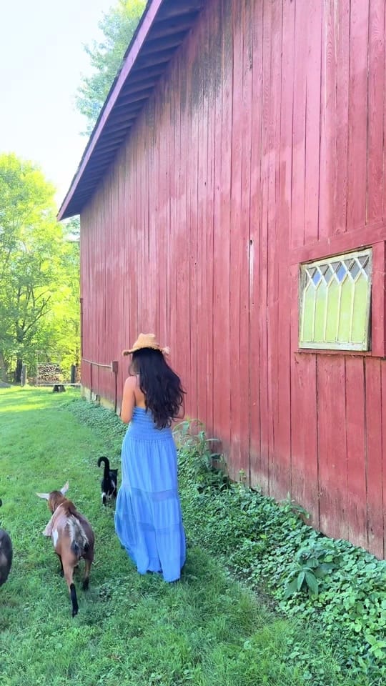 Post 8 by Sophie Goldie on TikTok (video)
