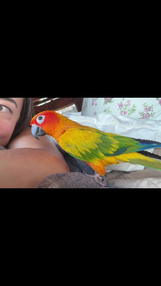 Post 4 by Sophie Goldie on TikTok (video)