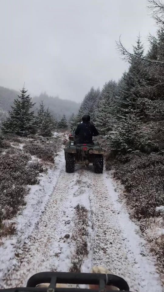 Post 5 by Quadmania on TikTok (video)