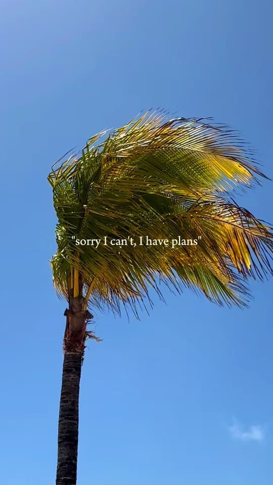 Post 6 by Jessica Samyn Photographie on TikTok (video)
