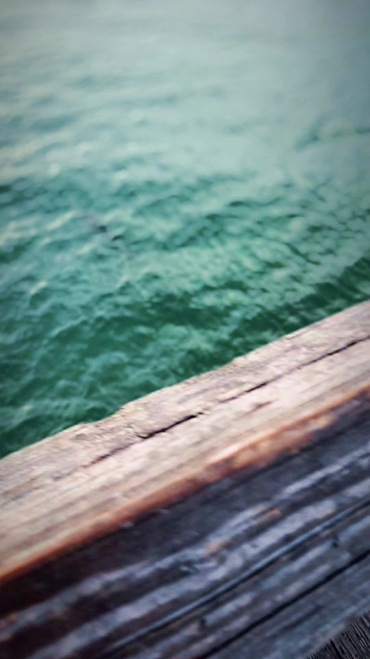 Post 10 by Jessica Reagon on TikTok (video)