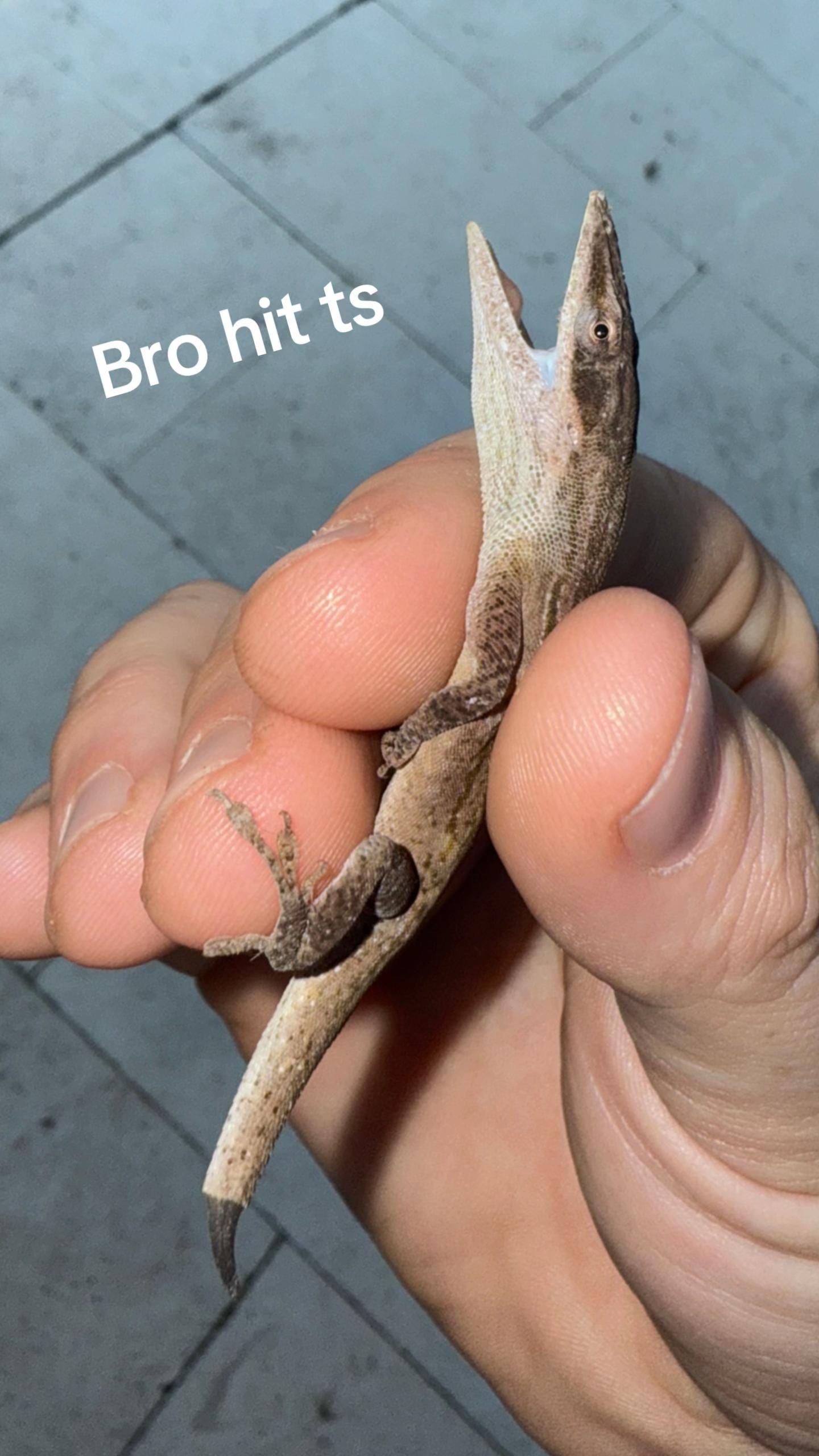 Post 9 by Aaron Wynia on TikTok (video)