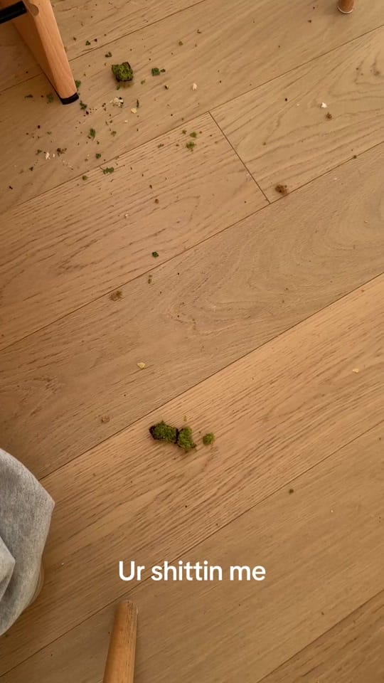 Post 5 by Aaron Wynia on TikTok (video)