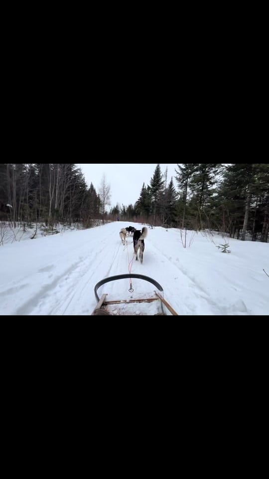 Post 5 by Quebec City Travel on TikTok (video)