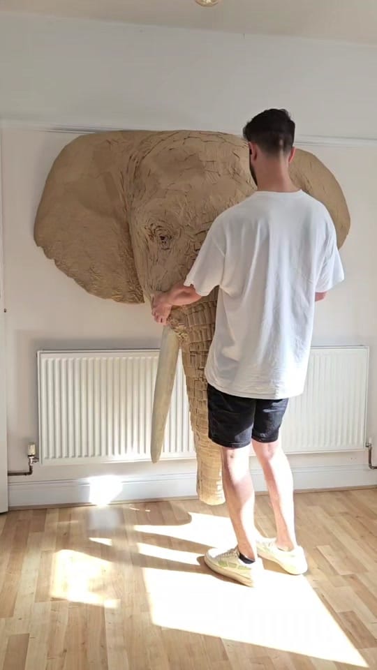 Post 9 by Josh Gluckstein- Cardboard Art on TikTok (video)