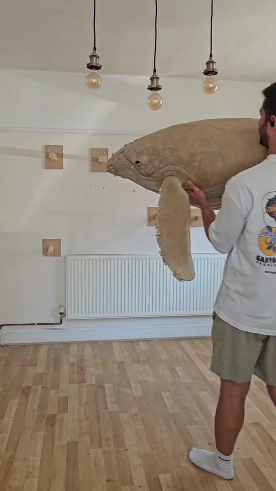 Post 2 by Josh Gluckstein- Cardboard Art on TikTok (video)