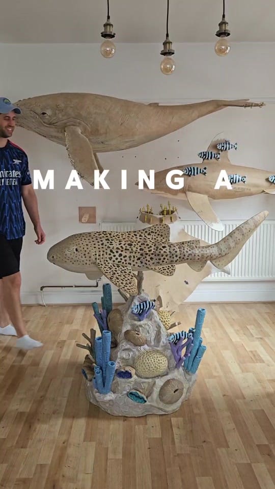 Post 6 by Josh Gluckstein- Cardboard Art on TikTok (video)