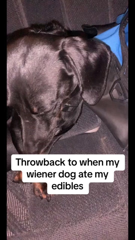 Post 5 by Tanner Stucker on TikTok (video)