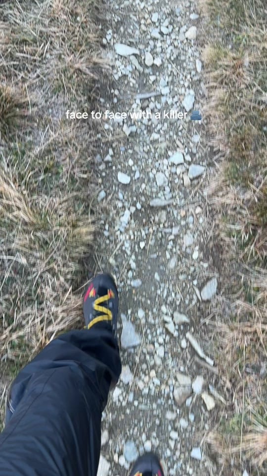 Post 1 by Romuch on TikTok (video)