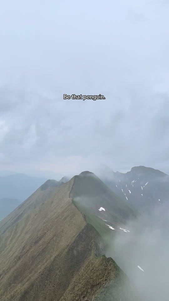 Post 4 by Romuch on TikTok (video)