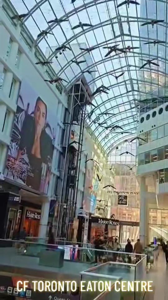 Post 3 by PEDDY ▪️ TRAVELLER on TikTok (video)