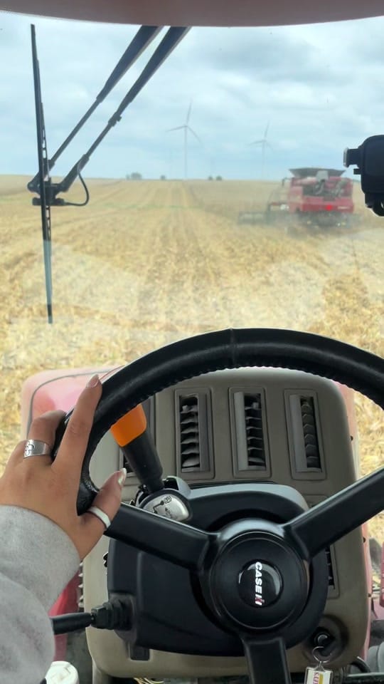 Post 7 by Megan ONeall on TikTok (video)