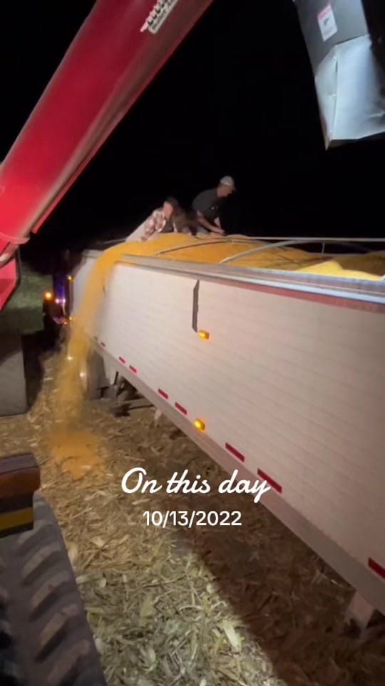 Post 3 by Megan ONeall on TikTok (video)