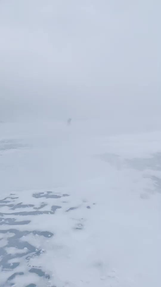 Post 10 by Aaron Lugassy on TikTok (video)