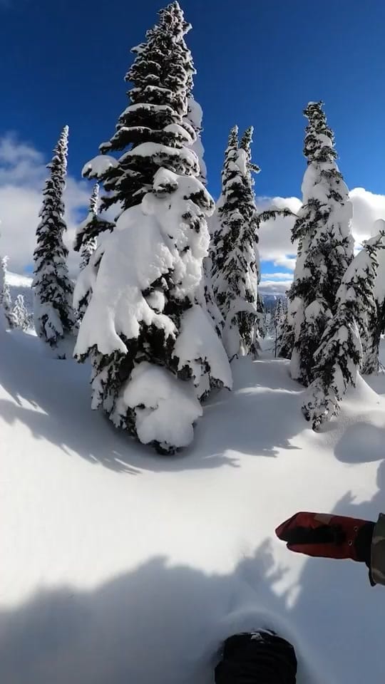 Post 4 by Aaron Lugassy on TikTok (video)