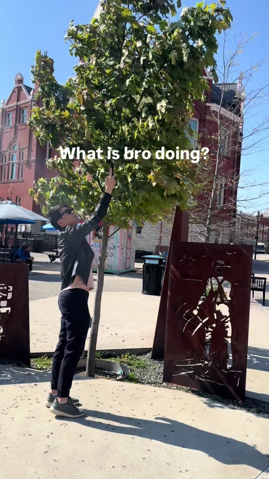 Post 7 by Mario So on TikTok (video)