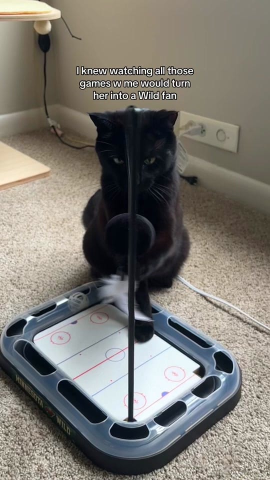 Post 7 by lindsey powers on TikTok (video)