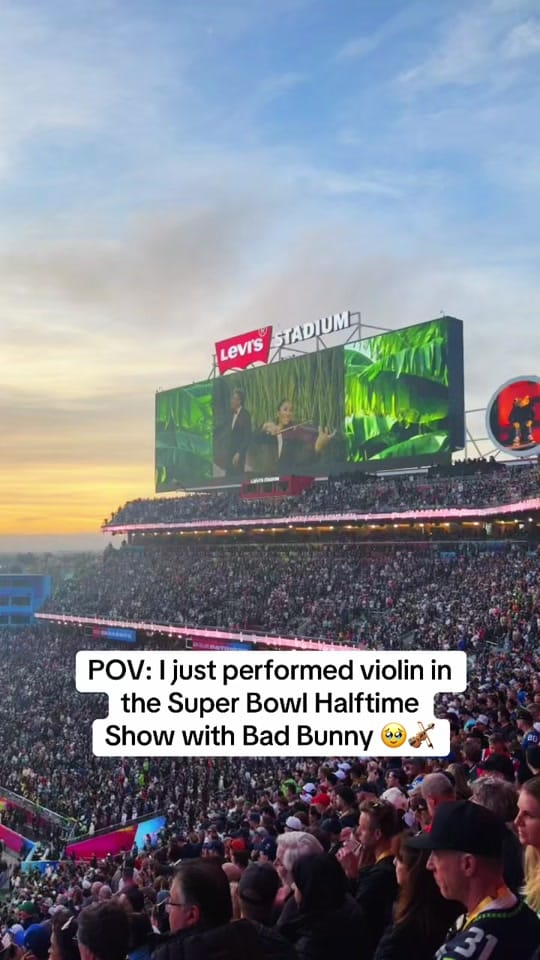 Post 8 by Rose Crelli Violin 🎻🌹 on TikTok (video)