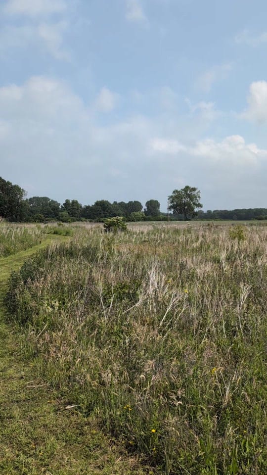 Post 2 by freya | caravantosmallholding on TikTok (video)