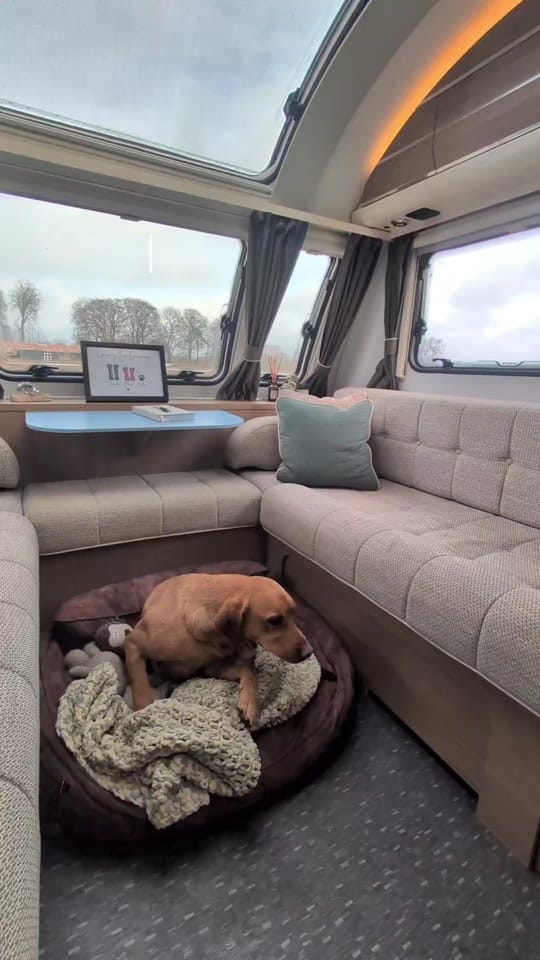 Post 6 by freya | caravantosmallholding on TikTok (video)