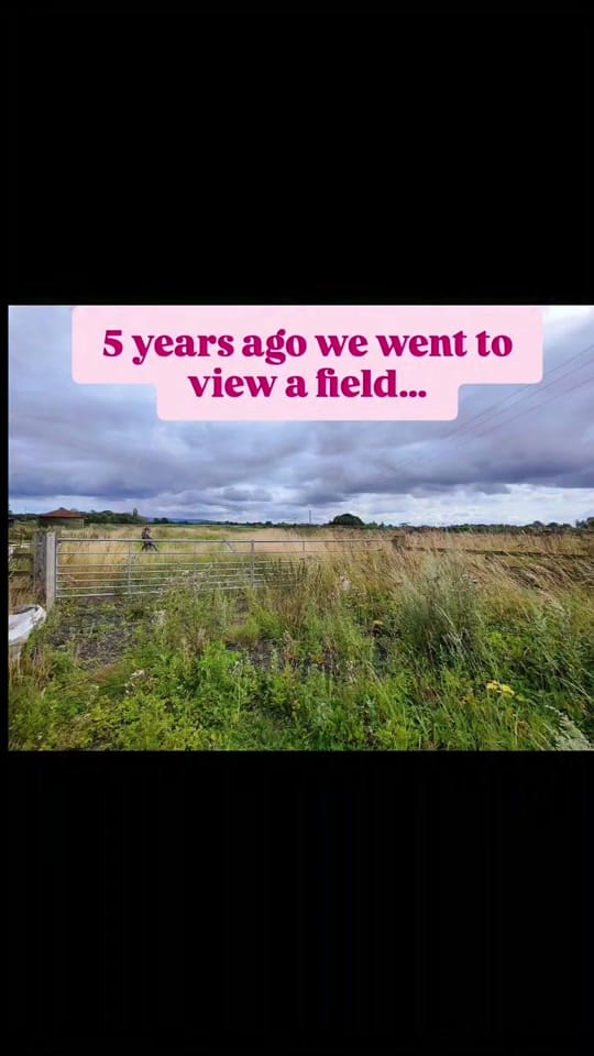 Post 4 by freya | caravantosmallholding on TikTok (video)