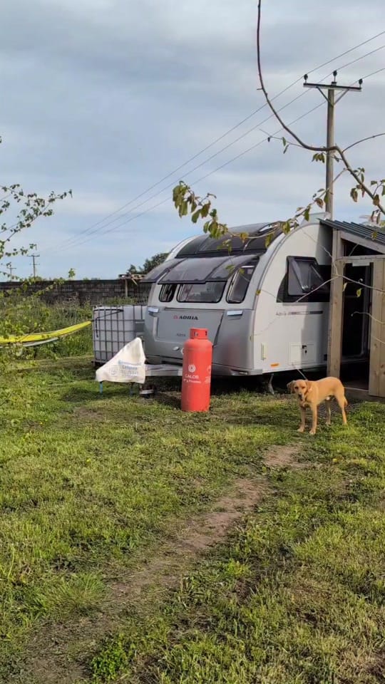 Post 3 by freya | caravantosmallholding on TikTok (video)