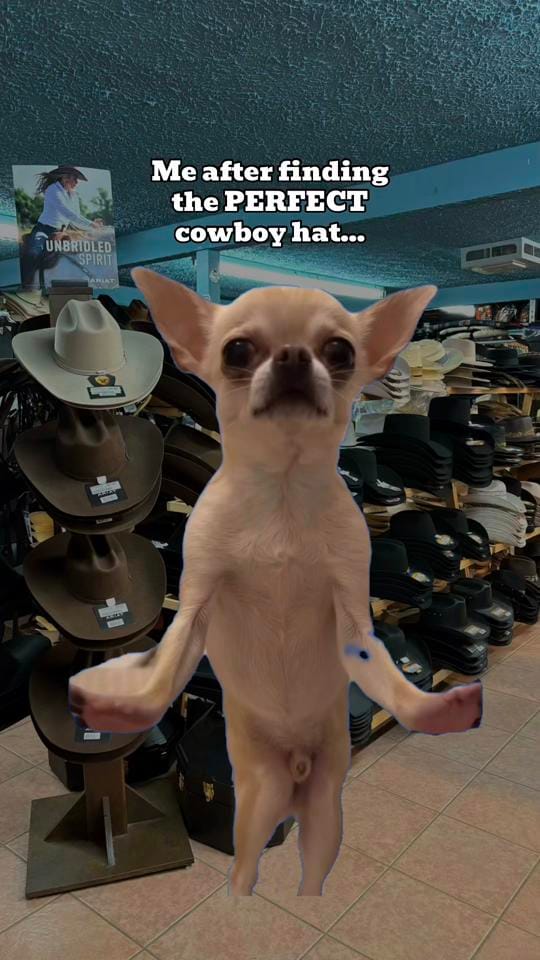 Post 7 by ASC | Tack Shop 🐎🇨🇦 on TikTok (video)