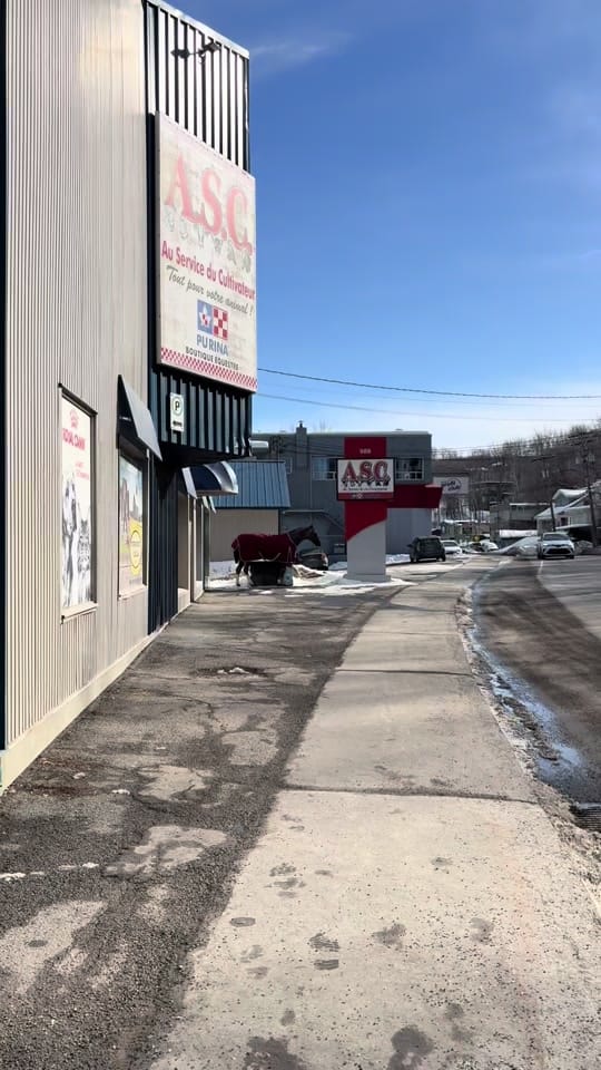 Post 8 by ASC | Tack Shop 🐎🇨🇦 on TikTok (video)