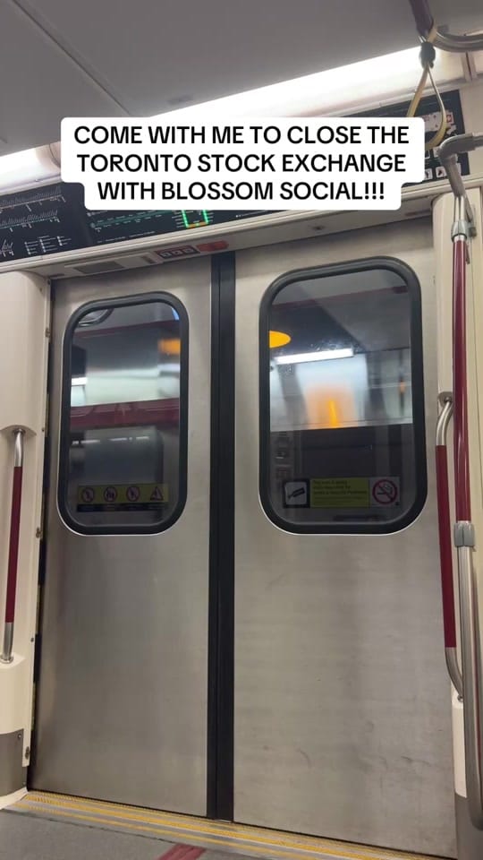 Post 10 by michael | personal finance on TikTok (video)
