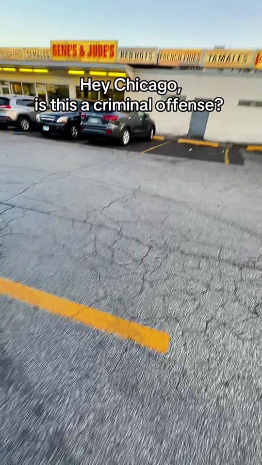 Post 10 by Mickey Milkovich on TikTok (video)