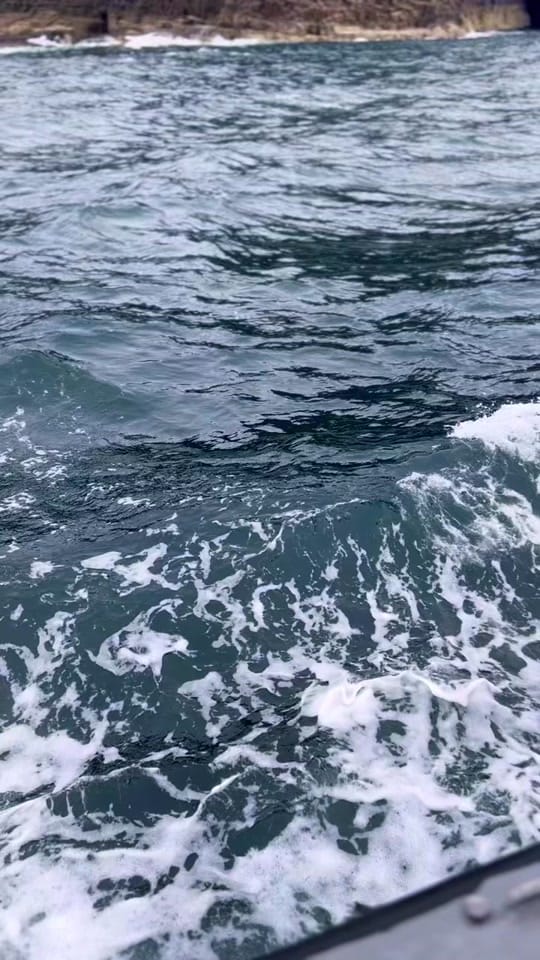 Post 9 by thisglaswegianguy on TikTok (video)