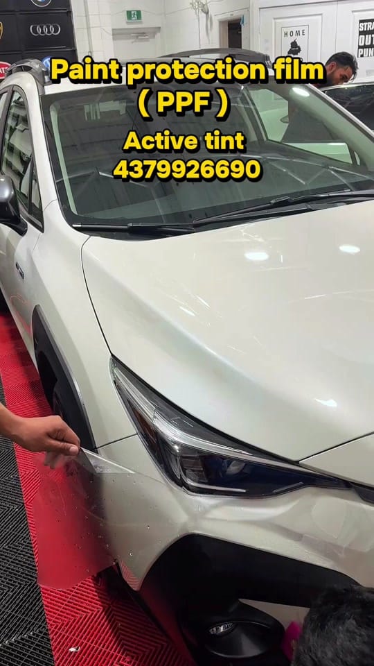 Post 5 by active_tint on TikTok (video)