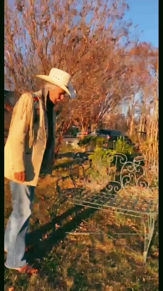 Post 10 by Apesanahkwat on TikTok (video)