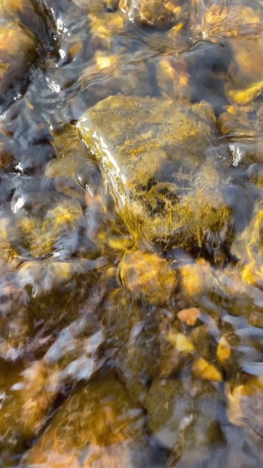 Post 6 by Apesanahkwat on TikTok (video)