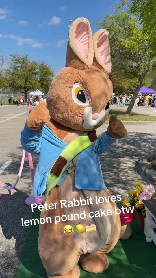 Post 6 by Petite Princess Company on TikTok (video)