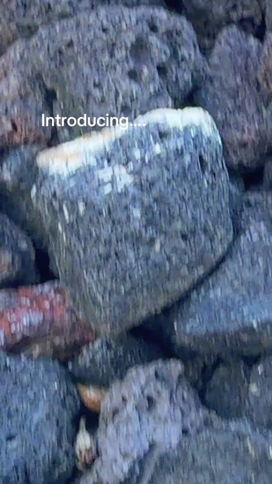 Post 1 by Petite Princess Company on TikTok (video)