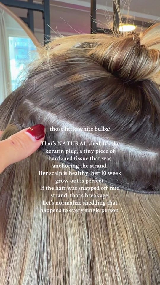 Post 8 by Brush’d The Label•Slavic Hair on TikTok (video)